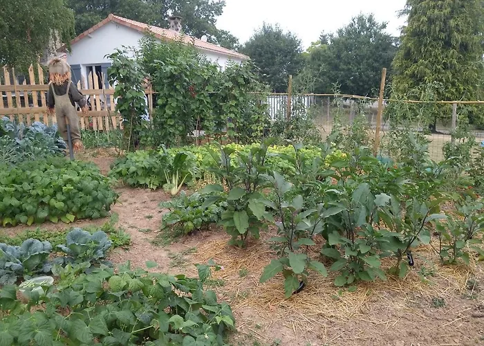 La Folie Pensión 3*